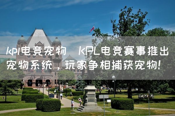 长沙电竞学校电竞市场:kpl电竞宠物(KPL电竞赛事推出宠物系统，玩家争相捕获宠物！)