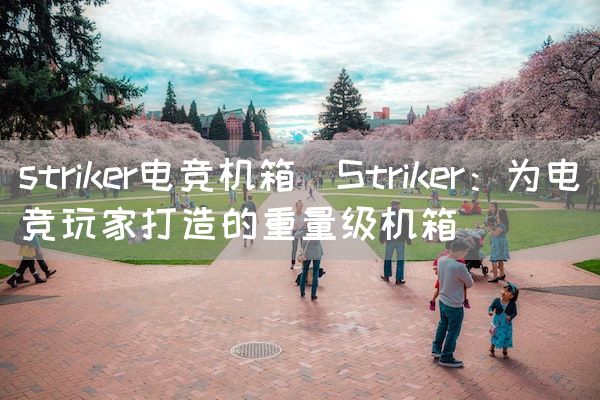 长沙电竞学校电竞市场:striker电竞机箱(Striker：为电竞玩家打造的重量级机箱)