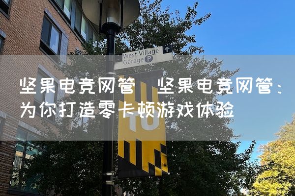 坚果电竞网管(坚果电竞网管：为你打造零卡顿游戏体验)