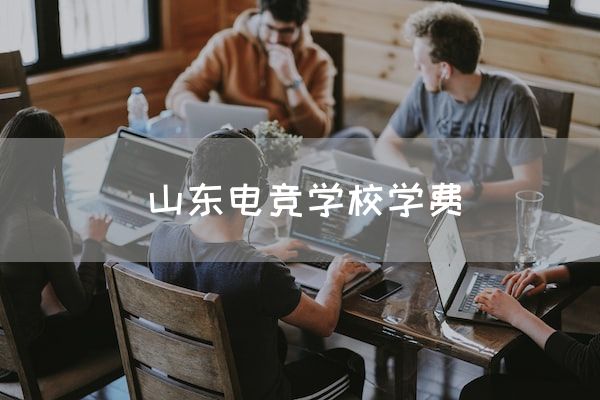 长沙电竞学校电竞行业:山东电竞学校学费