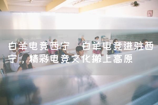 长沙电竞学校电竞市场:白羊电竞西宁(白羊电竞进驻西宁，精彩电竞文化搬上高原)