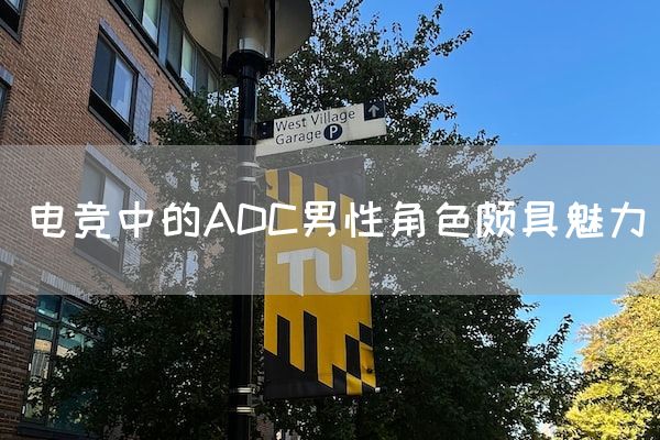 长沙电竞学校电竞市场:电竞中的ADC男性角色颇具魅力