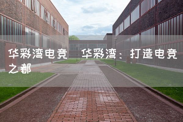 长沙电竞学校电竞市场:华彩湾电竞(华彩湾：打造电竞之都)