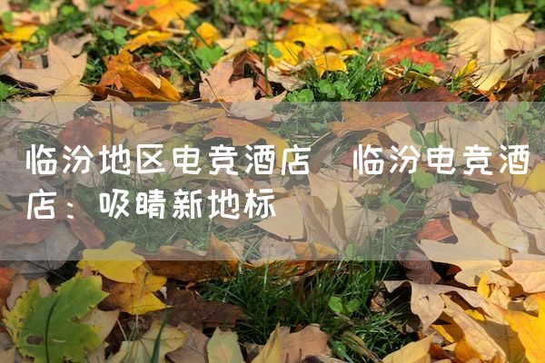 长沙电竞学校电竞市场:临汾地区电竞酒店(临汾电竞酒店：吸睛新地标)