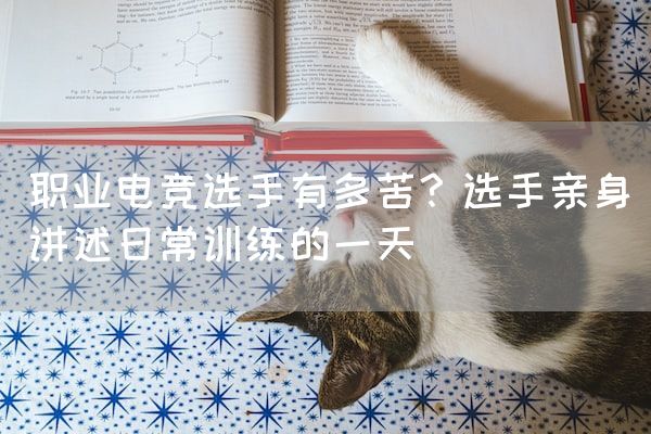 长沙电竞学校电竞行业:职业电竞选手有多苦？选手亲身讲述日常训练的一天