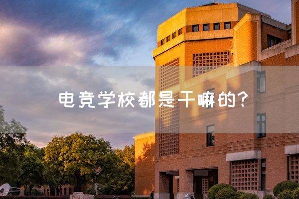 电竞学校都是干嘛的？