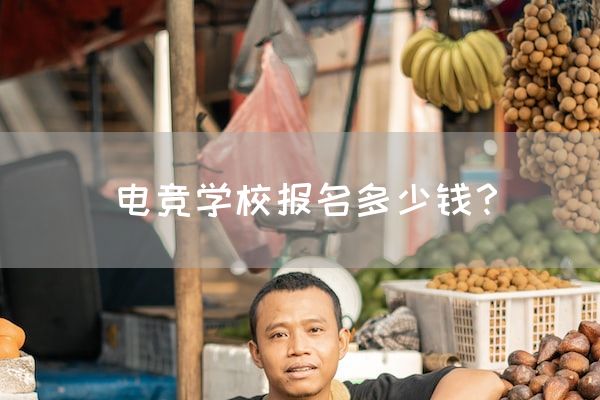 电竞学校报名多少钱？