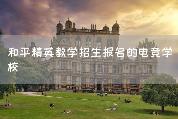 和平精英教学招生报名的电竞学校