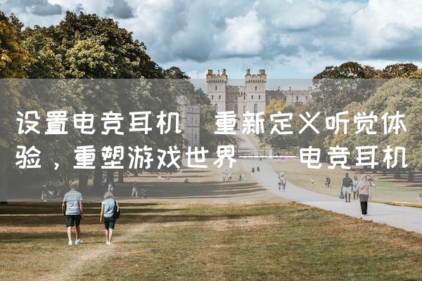 长沙电竞学校电竞市场:设置电竞耳机(重新定义听觉体验，重塑游戏世界——电竞耳机)
