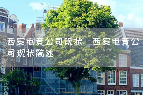 长沙电竞学校电竞市场:西安电竞公司现状(西安电竞公司现状简述)
