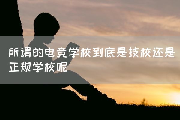 长沙电竞学校电竞行业:所谓的电竞学校到底是技校还是正规学校呢