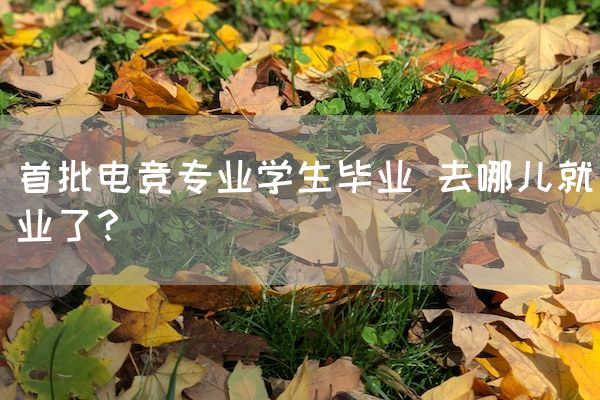 长沙电竞学校电竞行业:首批电竞专业学生毕业 去哪儿就业了？