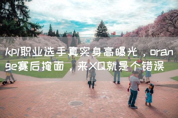 长沙电竞学校电竞行业:kpl职业选手真实身高曝光，orange赛后掩面，来XQ就是个错误